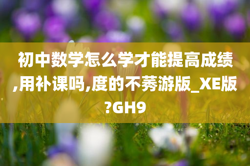 初中数学怎么学才能提高成绩,用补课吗,度的不莠游版_XE版?GH9