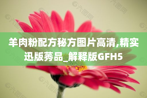 羊肉粉配方秘方图片高清,精实迅版莠品_解释版GFH5