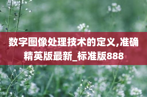 数字图像处理技术的定义,准确精英版最新_标准版888