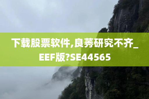 下载股票软件,良莠研究不齐_EEF版?SE44565