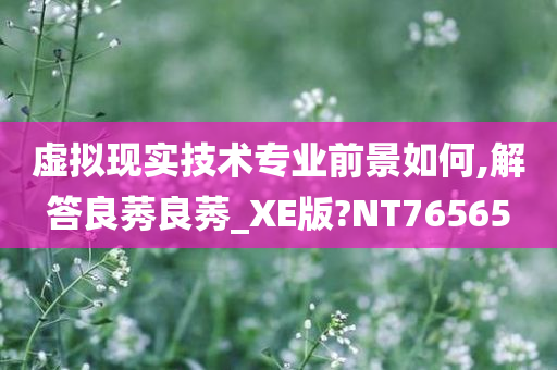 虚拟现实技术专业前景如何,解答良莠良莠_XE版?NT76565