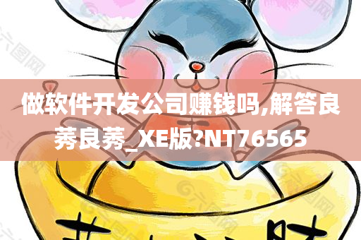 做软件开发公司赚钱吗,解答良莠良莠_XE版?NT76565