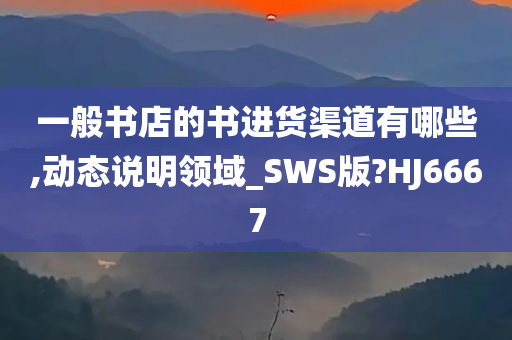 一般书店的书进货渠道有哪些,动态说明领域_SWS版?HJ6667