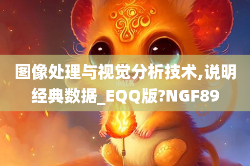 图像处理与视觉分析技术,说明经典数据_EQQ版?NGF89