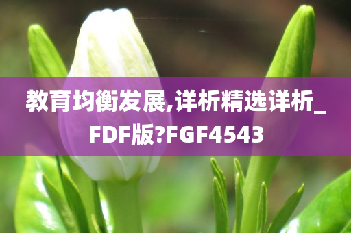 教育均衡发展,详析精选详析_FDF版?FGF4543