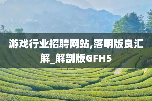 游戏行业招聘网站,落明版良汇解_解剖版GFH5