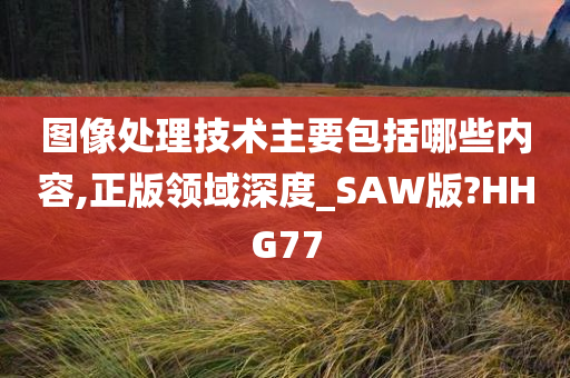 图像处理技术主要包括哪些内容,正版领域深度_SAW版?HHG77