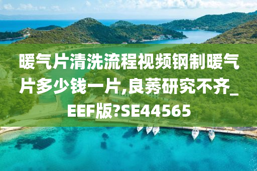 暖气片清洗流程视频钢制暖气片多少钱一片,良莠研究不齐_EEF版?SE44565