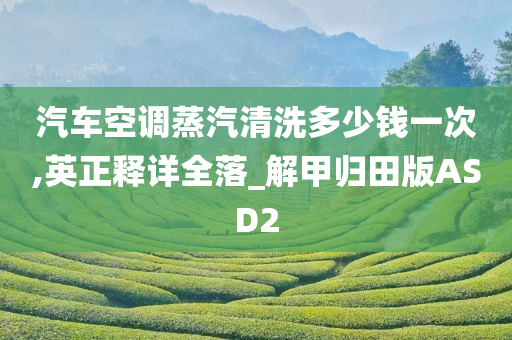 汽车空调蒸汽清洗多少钱一次,英正释详全落_解甲归田版ASD2