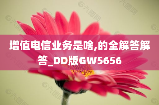 增值电信业务是啥,的全解答解答_DD版GW5656