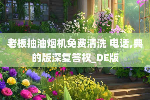 老板抽油烟机免费清洗 电话,典的版深复答权_DE版