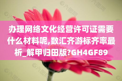 办理网络文化经营许可证需要什么材料呢,数汇齐游标齐率最析_解甲归田版?GH4GF89