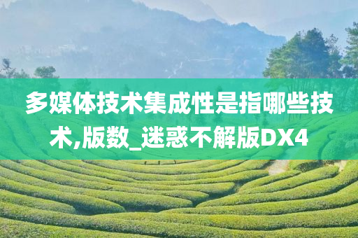 多媒体技术集成性是指哪些技术,版数_迷惑不解版DX4