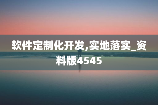 软件定制化开发,实地落实_资料版4545