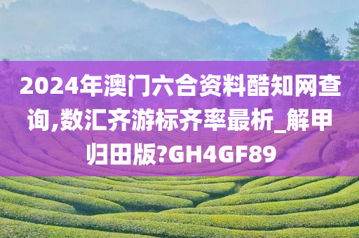 2024年澳门六合资料酷知网查询,数汇齐游标齐率最析_解甲归田版?GH4GF89