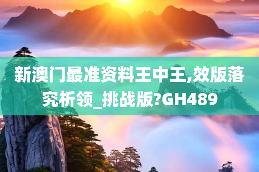 新澳门最准资料王中王,效版落究析领_挑战版?GH489