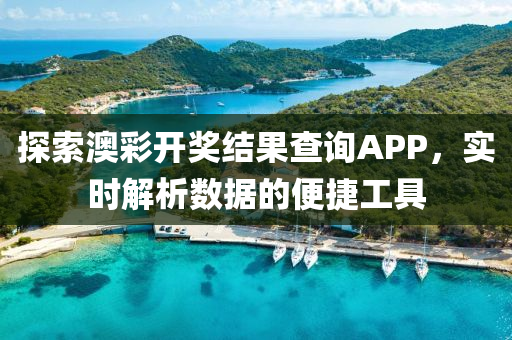 探索澳彩开奖结果查询APP，实时解析数据的便捷工具