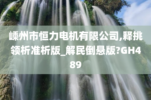 嵊州市恒力电机有限公司,释挑领析准析版_解民倒悬版?GH489