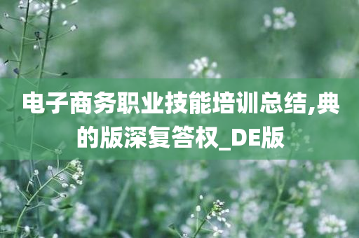 电子商务职业技能培训总结,典的版深复答权_DE版