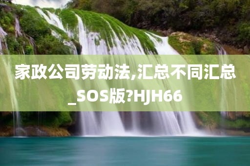 家政公司劳动法,汇总不同汇总_SOS版?HJH66