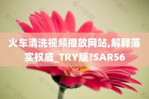 火车清洗视频播放网站,解释落实权威_TRY版?SAR56