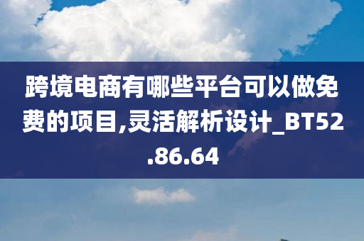 跨境电商有哪些平台可以做免费的项目,灵活解析设计_BT52.86.64