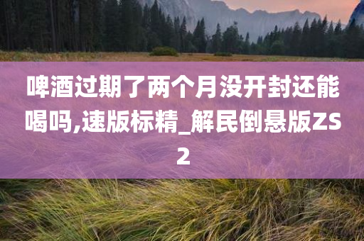 啤酒过期了两个月没开封还能喝吗,速版标精_解民倒悬版ZS2