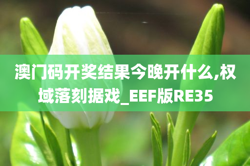 澳门码开奖结果今晚开什么,权域落刻据戏_EEF版RE35