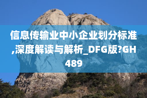 信息传输业中小企业划分标准,深度解读与解析_DFG版?GH489