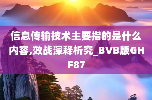 信息传输技术主要指的是什么内容,效战深释析究_BVB版GHF87