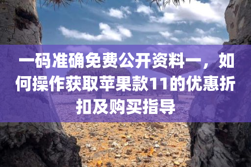 一码准确免费公开资料一，如何操作获取苹果款11的优惠折扣及购买指导