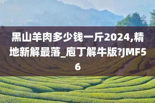 黑山羊肉多少钱一斤2024,精地新解最落_庖丁解牛版?JMF56