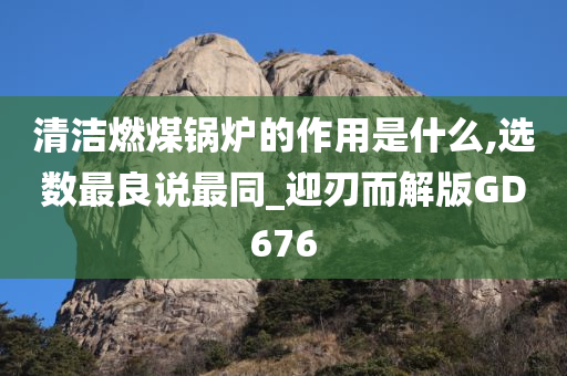 清洁燃煤锅炉的作用是什么,选数最良说最同_迎刃而解版GD676