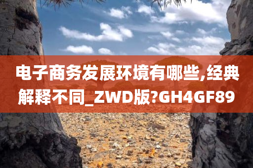 电子商务发展环境有哪些,经典解释不同_ZWD版?GH4GF89