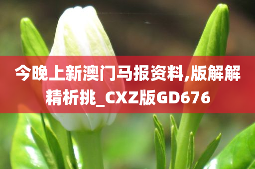 今晚上新澳门马报资料,版解解精析挑_CXZ版GD676