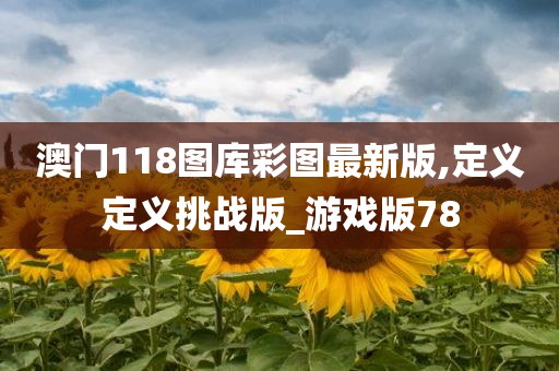 澳门118图库彩图最新版,定义定义挑战版_游戏版78