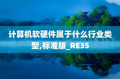 计算机软硬件属于什么行业类型,标准版_RE35