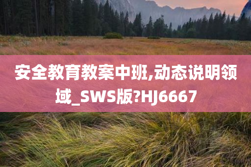 安全教育教案中班,动态说明领域_SWS版?HJ6667