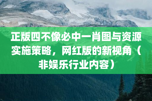 正版四不像必中一肖图与资源实施策略，网红版的新视角（非娱乐行业内容）