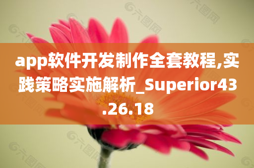 app软件开发制作全套教程,实践策略实施解析_Superior43.26.18