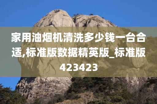 家用油烟机清洗多少钱一台合适,标准版数据精英版_标准版423423