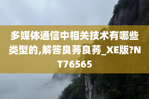 多媒体通信中相关技术有哪些类型的,解答良莠良莠_XE版?NT76565