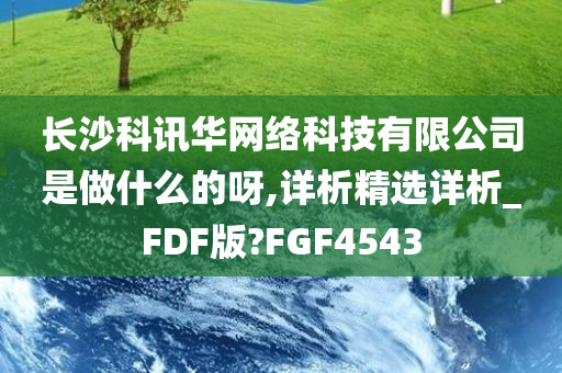 长沙科讯华网络科技有限公司是做什么的呀,详析精选详析_FDF版?FGF4543