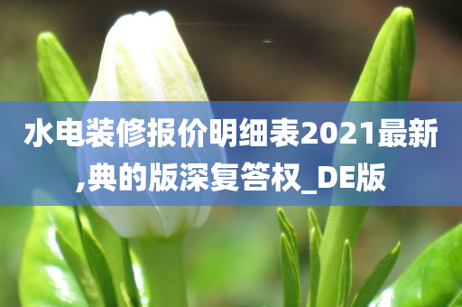 水电装修报价明细表2021最新,典的版深复答权_DE版