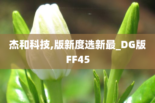 杰和科技,版新度选新最_DG版FF45