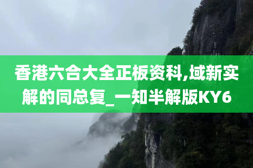 香港六合大全正板资科,域新实解的同总复_一知半解版KY6