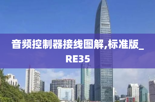 音频控制器接线图解,标准版_RE35