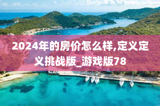 2024年的房价怎么样,定义定义挑战版_游戏版78