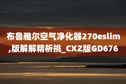 布鲁雅尔空气净化器270eslim,版解解精析挑_CXZ版GD676