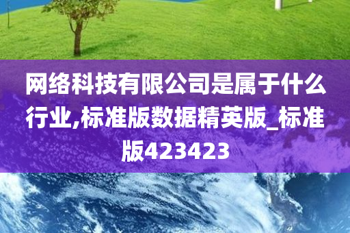 网络科技有限公司是属于什么行业,标准版数据精英版_标准版423423